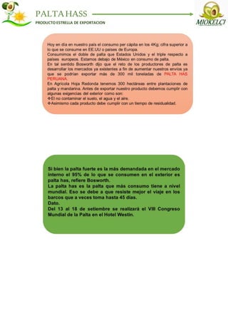 PALTAHASS
PRODUCTO ESTRELLA DE EXPORTACION
 