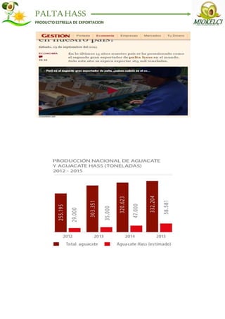 PALTAHASS
PRODUCTO ESTRELLA DE EXPORTACION
 