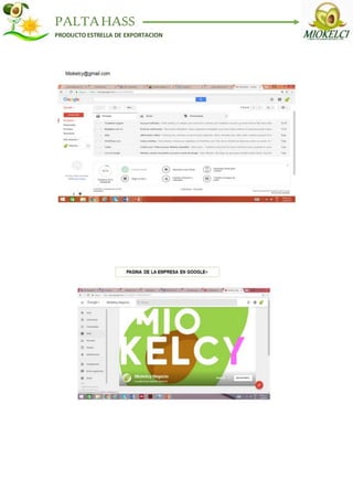 PALTAHASS
PRODUCTO ESTRELLA DE EXPORTACION
 