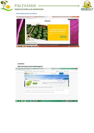 PALTAHASS
PRODUCTO ESTRELLA DE EXPORTACION
 