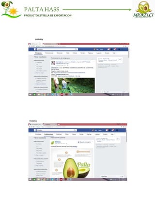 PALTAHASS
PRODUCTO ESTRELLA DE EXPORTACION
 