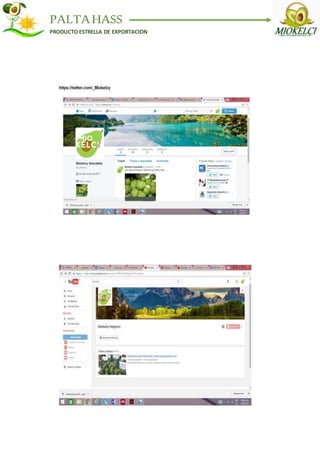 PALTAHASS
PRODUCTO ESTRELLA DE EXPORTACION
 