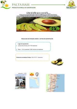 PALTAHASS
PRODUCTO ESTRELLA DE EXPORTACION
 