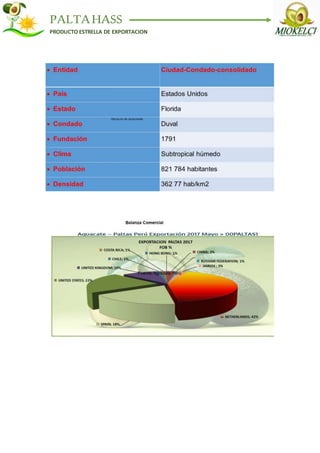 PALTAHASS
PRODUCTO ESTRELLA DE EXPORTACION
 