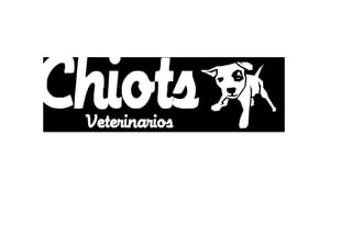 ChiotsVeterinarios
 