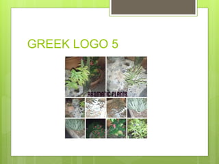 GREEK LOGO 5
 