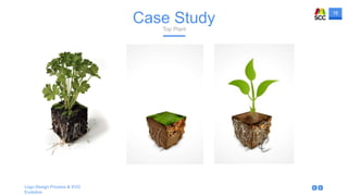 18
Logo Design Process & SVG
Evolution
Case StudyTop Plant
 