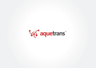 Logo Identity by Tridz