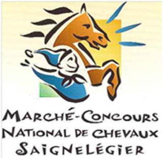 Logo marche concours klein