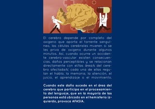 El cerebro depende por completo del
oxigeno que aporta el torrente sanguí-
neo, las células cerebrales mueren si se
les priva de oxigeno durante algunos
minutos. Así, cuando ocurre un acciden-
te cerebro-vascular existen consecuen-
cias, daños perceptibles y se relacionan
directamente con el/las área/s del cere-
bro afectada/s; cada una de ellas regu-
lan el habla, la memoria, la atención, el
juicio, el aprendizaje o el movimiento.
Cuando este daño sucede en el área del
cerebro que participa en el procesamien-
to del lenguaje, que en la mayoría de las
personas está ubicado en el hemisferio iz-
quierdo, provoca AFASIA.
 