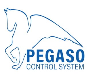 Pegaso Control Sistem