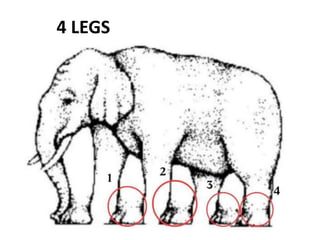 4 LEGS
 