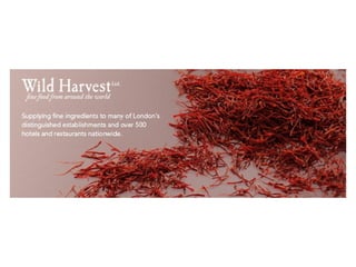 Brakes Group - Logos