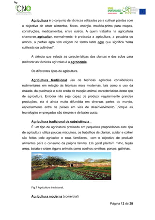 Agricultura é o conjunto de técnicas utilizadas para cultivar plantas com
o objectivo de obter alimentos, fibras, energia, matéria-prima para roupas,
construções, medicamentos, entre outros. A quem trabalha na agricultura
chama-se agricultor, normalmente, é praticada a agricultura, a pecuária ou
ambos, o prefixo agro tem origem no termo latim agro que significa "terra
cultivada ou cultivável".

       A ciência que estuda as características das plantas e dos solos para
melhorar as técnicas agrícolas é a agronomia.

       Os diferentes tipos de agricultura.

       Agricultura tradicional uso de técnicas agrícolas consideradas
rudimentares em relação às técnicas mais modernas, tais como o uso da
enxada, da queimada e o do arado de tracção animal, característicos deste tipo
de agricultura. Embora não seja capaz de produzir regularmente grandes
produções, ela é ainda muito difundida em diversas partes do mundo,
especialmente entre os países em vias de desenvolvimento, porque as
tecnologias empregadas são simples e de baixo custo.

       Agricultura tradicional de subsistência
       É um tipo de agricultura praticada em pequenas propriedades este tipo
de agricultura utiliza poucas máquinas, os trabalhos de plantar, cuidar e colher
são feitos pelo agricultor e seus familiares, com o objectivo de produzir
alimentos para o consumo da própria família. Em geral plantam milho, feijão
arroz, batata e criam alguns animais como coelhos; ovelhas; porcos; galinhas.




       Fig.7 Agricultura tradicional.


       Agricultura moderna (comercial)

                                                               Página 12 de 28
 