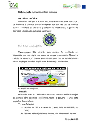Sistema misto. Com características de ambos.


       Agricultura biológica
       Agricultura biológica é o termo frequentemente usado para a produção
de alimentos e produtos animais e vegetais que não faz uso de produtos
químicos sintéticos ou alimentos geneticamente modificados, e geralmente
adere aos princípios de agricultura sustentável.




       Fig. 9 Símbolo agricultura biológica


       Transgénicos: São alimentos cuja semente foi modificada em
laboratório, pela inserção de pelo menos um gene de outra espécie. Alguns dos
motivos de modificação desses alimentos são para que as plantas possam
resistir às pragas (insectos, fungos, vírus, bactérias,) e a herbicidas.




       Fig.10 produtos transgénicos
       Pecuária
       Pecuária é a arte ou o conjunto de processos técnicos usados na criação
de animais com objectivos económicos.Assim, a pecuária é uma parte
específica da agricultura.
       Tipos de Actividade:
            Pecuária de carne (criação de bovinos para fornecimento de
               carne)
            Pecuária de leite (criação de bovinos para fornecimento de leite)


                                                                   Página 14 de 28
 