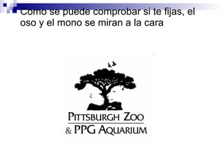  Como se puede comprobar si te fijas, el
oso y el mono se miran a la cara
 
