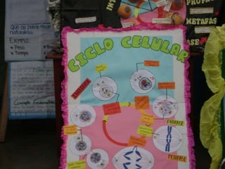 DÍA DEL LOGRO 2014 DAR 113