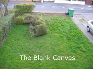 The Blank Canvas
 