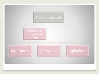 Formas y tamaños
equimoma petequias sugilaciones
Equimosis
propiamente
dicha
 