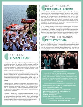 La cooperativa Orquídeas de Sian Ka'an, gracias al fuerte apoyo de 
Amigos de Sian Ka'an, fue capaz de comenzar a operar en abril de 
2014 en Punta Allen, Sian Ka'an. Siendo el único grupo de mujeres - 
esposas de pescadores – proporcionando tours de ecoturismo en el 
centro de Quintana Roo, las Orquídeas signicativamente contri-buirán 
a desarrollo sostenible regional. 
Su servicio, que estará disponible en los hoteles de Tulum y la Riviera 
Maya, se compone de tres recorridos: un sendero de interpretación 
que conduce a la zona conocida como Laguna Negra, un tour en 
kayak viajando a través de los canales internos de Sian Ka'an y un 
recorrido en bicicleta de observación de ora y fauna en el bosque 
tropical. 
Tradicionalmente, pescadores combinaron actividades de pesca 
con actividades acuáticas de snorkel y buceo. Sin embargo, gracias 
al apoyo recibido de la Alianza Fundación WWF - Fundación Carlos 
Slim, la Comisión Nacional de Protección Natural Áreas (CONANP) y 
Amigos de Sian Ka'an, el grupo de 25 mujeres ha consolidado su 
organización y operación. 
El respeto y orgullo local transmitido por estas mujeres hacia su 
entorno natural es una clara evidencia de la necesidad de incentivar 
las actividades turísticas de bajo impacto para la Reserva de la 
Biosfera Sian Ka'an, que ha registrado una considerable cantidad de 
visitantes durante los últimos años debido a su riqueza ecológica y 
la cercanía a la atracciones turísticas de Quintana Roo. 
NUEVAS ESTRATEGIAS 
PARA SISTEMA LAGUNAR 
Junto con la Dirección de Turismo del municipio de José María Morelos 
y la Secretaria de Medio Ambiente, Amigos de Sian Ka'an se esfuerza 
por establecer los lineamientos y estrategias para un desarrollo 
sostenible del Sistema Lagunar Chichankanab, un Área Natural Prote-gida 
decretado en 2011. La Laguna es un ecosistema único y lugar ideal 
para diversas actividades de recreación. En conjunto con las comuni-dades 
y el gobierno municipal, ASK está participando en el proceso de 
elaboración de propuestas de cómo abrir nuevas oportunidades 
económicas para las comunidades aledañas. 
En 2011 Amigos de Sian Ka'an, al trabajar con el Gobierno de Quintana 
Roo, obtuvo el decreto de tres nuevas áreas protegidas en Cozumel, en 
Chichankanab y en Bacalar. Lagunas que se suman a 30.000 hectáreas 
que serán atractivos de gran importancia. Ahora, la siguiente tarea es a 
la posición de la belleza natural del sur de Quintana Roo a nivel mundial 
y así incrementar el benecio económico de las comunidades locales. 
ORQUIDEAS 
DE SIAN KA’AN 
PREMIO POR 28 AÑOS 
DE TRAYECTORIA 
Estamos muy orgullosos de anunciar que en junio Amigos de Sian Ka'an 
recibió el XX Premio de Ecología y Medio Ambiente Miguel Alemán Valdés 
de la Fundación Miguel Alemán por su trabajo continuo para la conserva-ción 
del medio ambiente, la preservación de los hábitats naturales y la 
promoción del desarrollo sustentable en la Península de Yucatán durante 
más de 28 años. 
¡MUCHAS GRACIAS! 
2014 ya ha sido un año de grandes logros para la 
conservación del medio ambiente. Estos son los resul-tados 
que podemos obtener cuando interesados como 
ustedes se unen a nuestras Acciones por la Naturaleza. 
Sin embargo, hay mucho por alcanzar todavía antes del 
fin de año. 
Continúa haciendo una diferencia hoy a través de: 
- Una donación por PayPal en nuestra página web 
www.amigosdesiankaan.org 
- Una transferencia bancaria o un cheque a 
Beneficiario: Amigos de Sian Ka an A. C. 
Banco: HSBC México S.A. 
Cuenta: 4057204331 
Clabe: 021691040572043312 
… y ayúdanos a alanzar más Acciones por la 
Naturaleza! ¡Muchas gracias! 
