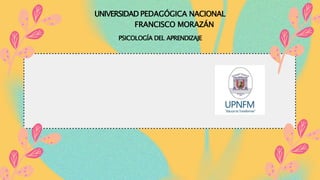 PSICOLOGÍA DEL APRENDIZAJE
UNIVERSIDAD PEDAGÓGICA NACIONAL
FRANCISCO MORAZÁN
 