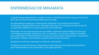 ENFERMEDAD DE MINAMATA
La epidemiologia desempeñó un papel crucial en la identificación de la causa y en el control
de la que fue una de las primeras epidemias conocidas
de enfermedad causada por contaminación ambiental. Los primeros casos fueron
inicialmente diagnosticados como meningitis infecciosa. Sin embargo, se observó que los
121 pacientes residían en su mayor parte cerca de la bahía de
Minamata.Una encuesta de personas que habían padecido la enfermedad y de otros que
no la habían presentado mostró que, casi sin excepción, las víctimas se daban en familias
que se dedicaban fundamentalmente a la pesca y comían sobre todo pescado. Las personas
que habían visitado a esas familias y quienes siendo de las familias de
pescadores comían poco pescado no sufrían la enfermedad.
Se llegó a la conclusión de que había algo en el pescado que intoxicaba a los pacientes y
que la enfermedad no era transmisible ni de origen genético.
 
