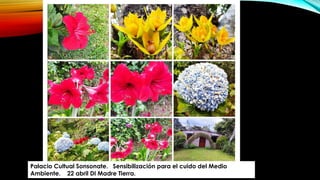 Palacio Cultual Sonsonate. Sensibilización para el cuido del Medio
Ambiente. 22 abril DI Madre Tierra.
 