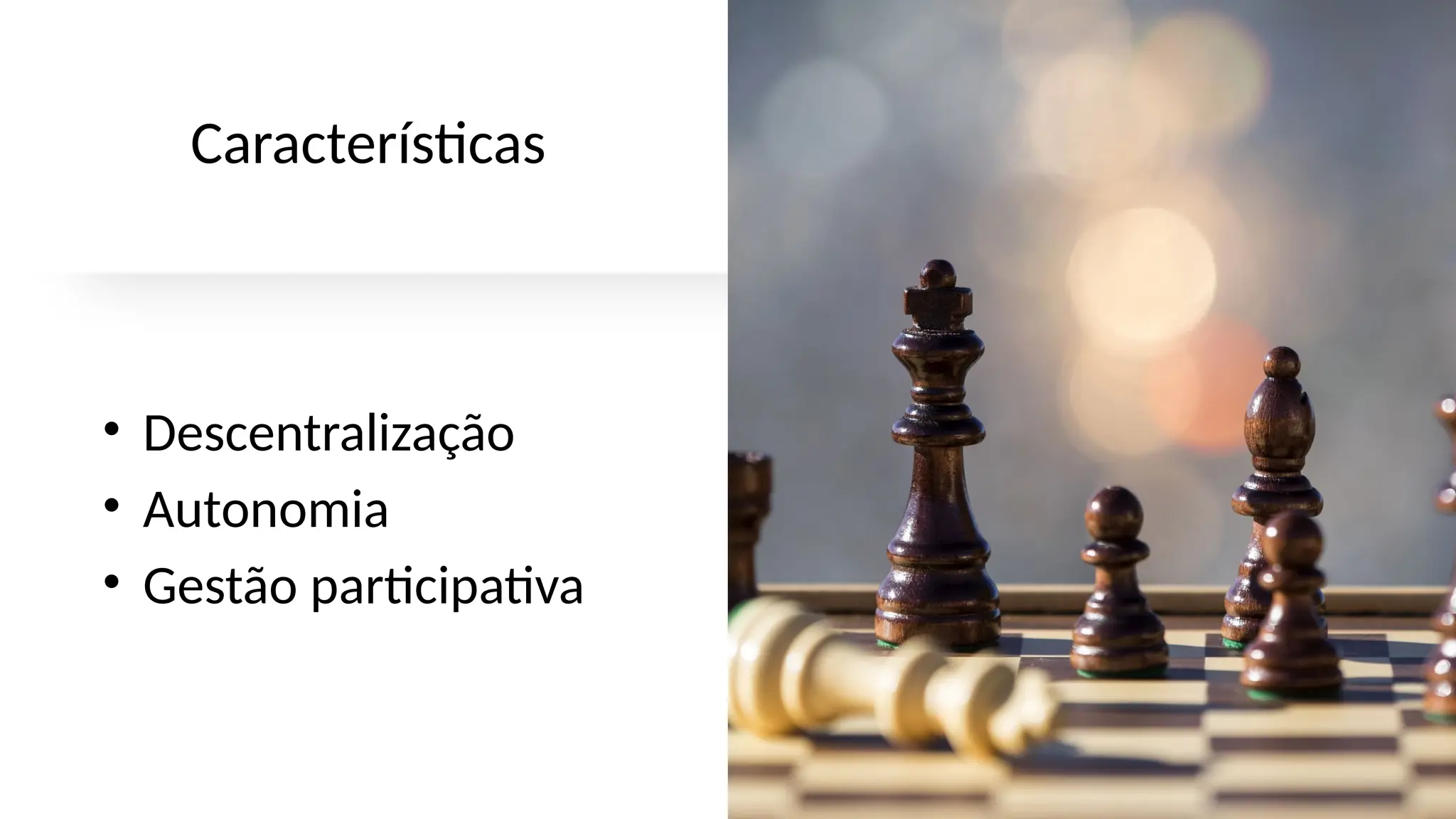 Características
• Descentralização
• Autonomia
• Gestão participativa
 