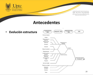 Antecedentes
• Evolución estructura
30
 