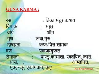 GUNA KARMA :
रस : हतक्त,मधुर,कषकय
हवपकक : मधुर
वीयग : शीत
गुण : रूक्ष,गुरु
दोषघ्नतक : कफ-हपत्त शकमक
वणग : पक्वजम्बुफल
रोगघ्नतक : पकण्डु,ककमकलक, रक्तहपत्त, ककस,
श्वकस, , , आम्लहपत्त,
मूत्रकृ च्छ्र , एककांगवकत, कु ष्ट Dr.A.P.Shrilata
 