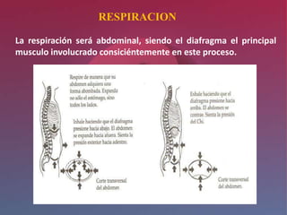 RESPIRACION

La respiración será abdominal, siendo el diafragma el principal
musculo involucrado consiciéntemente en este proceso.
 