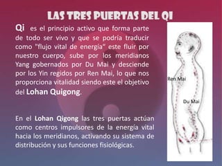 Qi   es el principio activo que forma parte
de todo ser vivo y que se podría traducir
como "flujo vital de energía“ este fluir por
nuestro cuerpo, sube por los meridianos
Yang gobernados por Du Mai y desciende
por los Yin regidos por Ren Mai, lo que nos
                                                Ren Mai
proporciona vitalidad siendo este el objetivo
del Lohan Quigong.
                                                     Du Mai


En el Lohan Qigong las tres puertas actúan
como centros impulsores de la energía vital
hacia los meridianos, activando su sistema de
distribución y sus funciones fisiológicas.
 