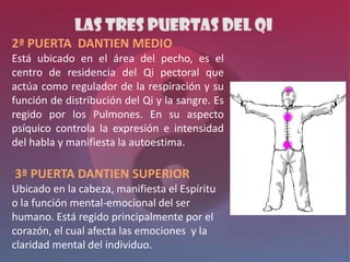2ª PUERTA DANTIEN MEDIO
Está ubicado en el área del pecho, es el
centro de residencia del Qi pectoral que
actúa como regulador de la respiración y su
función de distribución del Qi y la sangre. Es
regido por los Pulmones. En su aspecto
psíquico controla la expresión e intensidad
del habla y manifiesta la autoestima.

3ª PUERTA DANTIEN SUPERIOR
Ubicado en la cabeza, manifiesta el Espíritu
o la función mental-emocional del ser
humano. Está regido principalmente por el
corazón, el cual afecta las emociones y la
claridad mental del individuo.
 