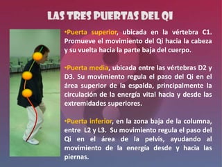 •Puerta superior, ubicada en la vértebra C1.
Promueve el movimiento del Qi hacia la cabeza
y su vuelta hacia la parte baja del cuerpo.

•Puerta media, ubicada entre las vértebras D2 y
D3. Su movimiento regula el paso del Qi en el
área superior de la espalda, principalmente la
circulación de la energía vital hacia y desde las
extremidades superiores.

•Puerta inferior, en la zona baja de la columna,
entre L2 y L3. Su movimiento regula el paso del
Qi en el área de la pelvis, ayudando al
movimiento de la energía desde y hacia las
piernas.
 