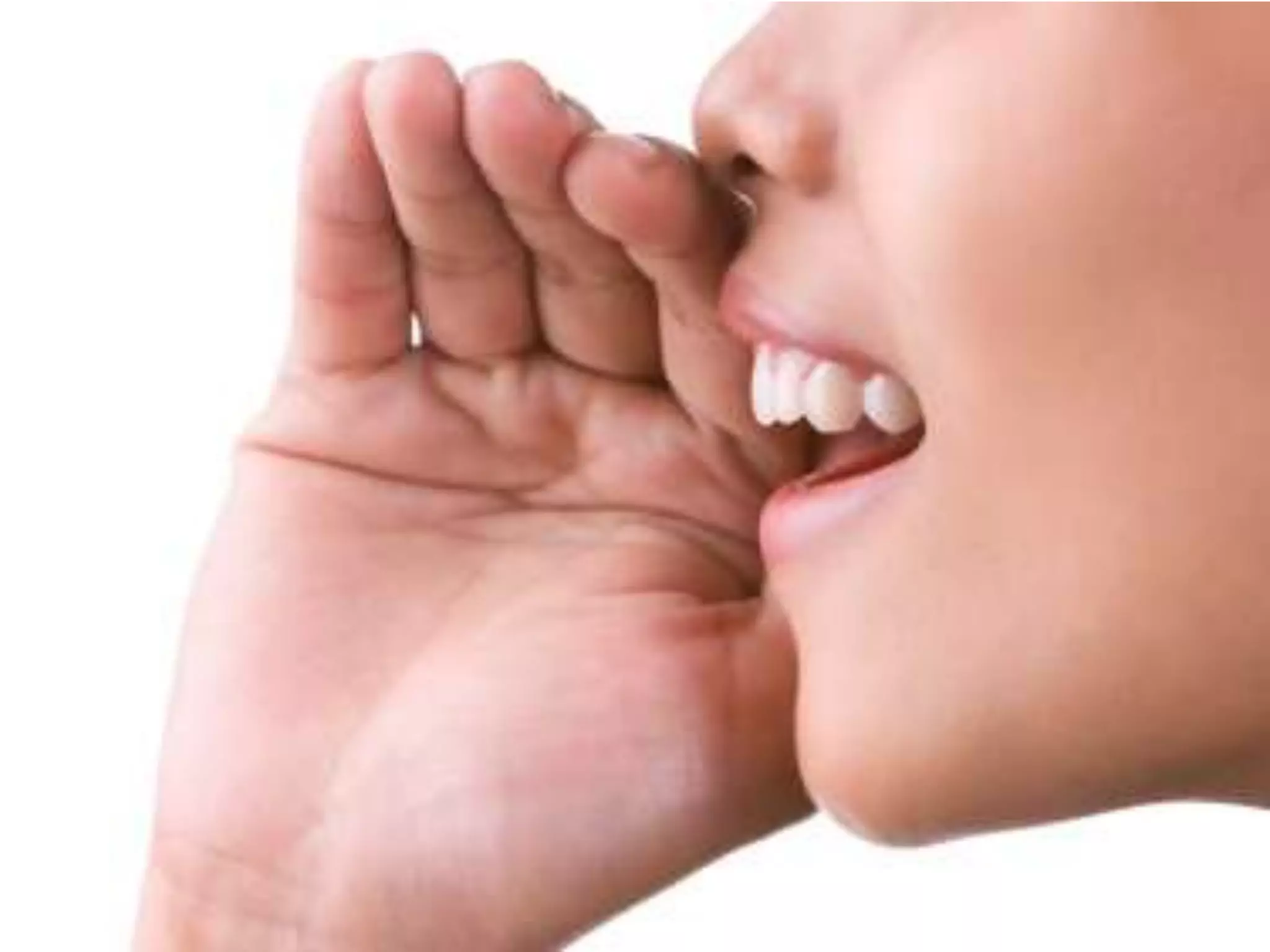 Earthsense ©2010 All rights reserved.24