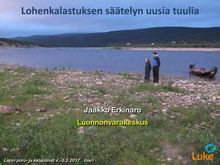Lapin poro- ja kalapäivät 4.–5.5.2017 Inari
Lohenkalastuksen säätelyn uusia tuulia
Jaakko Erkinaro
Luonnonvarakeskus
 