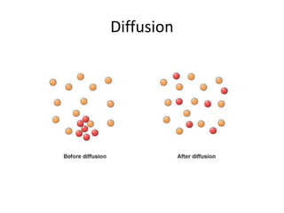 Diffusion
 