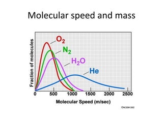 Molecular speed and mass
 