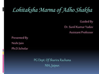 Lohitaksha Marma of Adho Shakha
GuidedBy
Dr. Sunil Kumar Yadav
AssistantProfessor
PresentedBy
Nishi Jain
Ph.D.Scholar
PG Dept. Of Sharira Rachana
NIA, Jaipur.
 