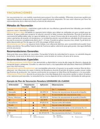 7
VACUNACIONES
Las vacunaciones son una medida importante para prevenir las enfermedades. Diferentes situaciones epidémicas
regionales requieren programas de vacunación específicamente adaptados. Por esa razón observen por favor las
recomendaciones de su veterinario local y el servicio de salud aviar.
Métodos de Vacunación
Vacunaciones Individuales – inyecciones y gota ocular son muy efectivas y generalmente bien toleradas, pero también
requieren mayor intensidad de trabajo.
Vacunaciones en Agua de bebida no requieren tanto trabajo, pero deben ser realizadas con gran cuidado para ser
efectivas. El agua usada para preparar la solución vacunal no debe contener desinfectantes. Durante el período de
crecimiento las pollitas deben estar sin agua de bebida por lo menos 2 horas antes de la vacunación. En clima caluroso
reducir este tiempo de acuerdo a la temperatura. La cantidad de solución vacunal debe ser calculada de tal manera que
las aves la consuman completamente dentro de 2 – 4 horas. Cuando se aplican vacunas vivas, añadir 2 g de leche en
polvo descremada por litro de agua con el fin de proteger el título vacunal.
Vacunaciones por Spray no requieren tanto trabajo y son altamente efectivas, pero ocasionalemente pueden tener
efectos secundarios. Para pollitas hasta la edad de 3 semanas aplicar solamente spray gota gruesa. Use agua destilada
para la vacunación.
Recomendaciones Generales
Solamente lotes sanos deben ser vacunados. Comprobar la fecha de caducidad de la vacuna, no usándola después
de tal fecha. Anote tanto la fecha de la vacunación, como también el número y la serie de la vacuna.
Recomendaciones Especiales
Las Revacunaciones contra Marek han demostrado su efectividad en zonas de alto riesgo de infección y después de
transportes largos y estresantes. Consulte a su veterinario local o a los especialistas del Laboratorio Veterinario LOHMANN
para más informaciones.
Vacunaciones contra Micoplasmosis son aconsejables solamente si la granja no se puede mantener libre de Mico-
plasmosis. Las infecciones con cepas virulentas de Micoplasma durante el período de postura pueden causar caídas
significativas de producción. Los mejores rendimientos se consiguen en lotes libres de Micoplasma y no vacunados.
Tratamientos Vitamínicos durante los primeros dos o tres días después de la vacunación ayudan a reducir el estrés y
evitar reacciones post-vacunales. La necesidad de los mismos depende de las condiciones individuales de cada granja.
Ejemplo de Plan de Vacunación Ponedora LOHMANN LSL-CLASSIC
AG Agua SP Spray AL Alimento
II Injección Intramuscular SI Injección Subcutanea GO Gota Ocular PA Punción en ala
Enfermedad Presentación Aplicación Observaciones
mundial local
Marek ● Día 1 – incubadora
Newcastle ● AG-SP-II-SI Número de vacunaciones de acuerdo al desafío
Gumboro ● AG Se recomiendan dos vacunaciones vivas
Bronq. Infecciosa ● AG-SP-II-SI Número de vacunaciones de acuerdo al desafío
AE ● AG-SP-PA Se recomienda vacunar a reproductoras y comerciales
Mycoplasma ● SP-GO-II-SI Vacunar antes del traslado
Viruela ● PA Vacunar antes del traslado
Pasteurelosis ● PA-II-SI Dos vacunaciones aprox. en las semanas 8 y 14
Salmonela ● AG-SP-II-SI Vacunar antes del traslado
ILT ● AG-SP-GO-PA Dos vacunaciones entre las 6 – 14 semanas
L 1200
 