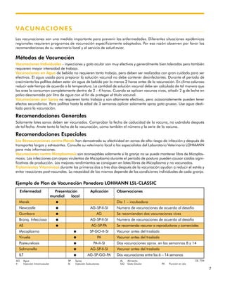 7
VACUNACIONES
Las vacunaciones son una medida importante para prevenir las enfermedades. Diferentes situaciones epidémicas
regionales requieren programas de vacunación específicamente adaptados. Por esa razón observen por favor las
recomendaciones de su veterinario local y el servicio de salud aviar.
Métodos de Vacunación
Vacunaciones Individuales - inyecciones y gota ocular son muy efectivas y generalmente bien toleradas pero también
requieren mayor intensidad de trabajo.
Vacunaciones en Agua de bebida no requieren tanto trabajo, pero deben ser realizadas con gran cuidado para ser
efectivas. El agua usada para preparar la solución vacunal no debe contener desinfectantes. Durante el período de
crecimiento las pollitas deben estar sin agua de bebida por lo menos 2 horas antes de la vacunación. En clima caluroso
reducir este tiempo de acuerdo a la temperatura. La cantidad de solución vacunal debe ser calculada de tal manera que
las aves la consuman completamente dentro de 2 - 4 horas. Cuando se aplican vacunas vivas, añadir 2 g de leche en
polvo descremada por litro de agua con el fin de proteger el título vacunal.
Vacunaciones por Spray no requieren tanto trabajo y son altamente efectivas, pero ocasionalemente pueden tener
efectos secundarios. Para pollitas hasta la edad de 3 semanas aplicar solamente spray gota gruesa. Use agua desti-
lada para la vacunación.
Recomendaciones Generales
Solamente lotes sanos deben ser vacunados. Comprobar la fecha de caducidad de la vacuna, no usándola después
de tal fecha. Anote tanto la fecha de la vacunación, como también el número y la serie de la vacuna.
Recomendaciones Especiales
Las Revacunaciones contra Marek han demostrado su efectividad en zonas de alto riesgo de infección y después de
transportes largos y estresantes. Consulte su veterinario local o los especialistas del Laboratorio Veterinario LOHMANN
para más informaciones.
Vacunaciones contra Micoplasmosis son aconsejables solamente si la granja no se puede mantener libre de Micoplas-
mosis. Las infecciones con cepas virulentas de Micoplasma durante el período de postura pueden causar caídas signi-
ficativas de producción. Los mejores rendimientos se consiguen en lotes libres de Micoplasma y no vacunados.
Tratamientos Vitamínicos durante los primeros dos o tres días después de la vacunación ayudan a reducir el estrés y
evitar reacciones post-vacunales. La necesidad de los mismos depende de las condiciones individuales de cada granja.
Ejemplo de Plan de Vacunación Ponedora LOHMANN LSL-CLASSIC
AG Agua SP Spray AL Alimento
II Injección Intramuscular SI Injección Subcutanea GO Gota Ocular PA Punción en ala
Enfermedad Presentación Aplicación Observaciones
mundial local
Marek q Día 1 – incubadora
Newcastle q AG-SP-II-SI Numero de vacunaciones de acuerdo al desafío
Gumboro q AG Se recomiendan dos vacunaciones vivas
Bronq. Infecciosa q AG-SP-II-SI Numero de vacunaciones de acuerdo al desafío
AE q AG-SP-PA Se recomienda vacunar a reproductoras y comerciales
Mycoplasma q SP-GO-II-SI Vacunar antes del traslado
Viruela q PA Vacunar antes del traslado
Pasteurelosis q PA-II-SI Dos vacunaciones aprox. en las semannas 8 y 14
Salmonella q AG-SP-II-SI Vacunar antes del traslado
ILT q AG-SP-GO-PA Dos vacunaciones entre las 6 – 14 semanas
LSL 704
 