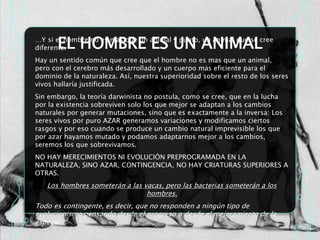 EL HOMBRE ES UN ANIMAL
…Y si el hombre no es mas que un animal y punto, un animal que se cree
diferente.
Hay un sentido común que cree que el hombre no es mas que un animal,
pero con el cerebro más desarrollado y un cuerpo mas eficiente para el
dominio de la naturaleza. Así, nuestra superioridad sobre el resto de los seres
vivos hallaría justificada.
Sin embargo, la teoría darwinista no postula, como se cree, que en la lucha
por la existencia sobreviven solo los que mejor se adaptan a los cambios
naturales por generar mutaciones, sino que es exactamente a la inversa: Los
seres vivos por puro AZAR generamos variaciones y modificamos ciertos
rasgos y por eso cuando se produce un cambio natural imprevisible los que
por azar hayamos mutado y podamos adaptarnos mejor a los cambios,
seremos los que sobrevivamos.
NO HAY MERECIMIENTOS NI EVOLUCIÓN PREPROGRAMADA EN LA
NATURALEZA, SINO AZAR, CONTINGENCIA, NO HAY CRIATURAS SUPERIORES A
OTRAS.
Los hombres someterán a las vacas, pero las bacterias someterán a los
hombres.
Todo es contingente, es decir, que no responden a ningún tipo de
evolucionismo pensando desde el progreso o desde el mejoramiento de la
especie.
 