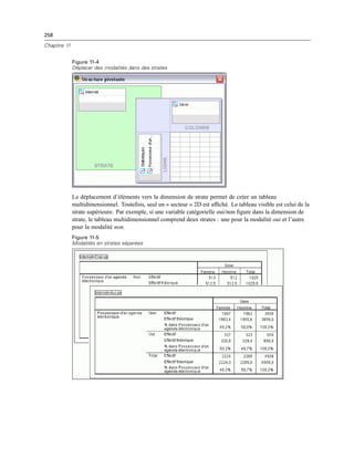 258
Chapitre 11
Figure 11-4
Déplacer des modalités dans des strates
Le déplacement d’éléments vers la dimension de strate permet de créer un tableau
multidimensionnel. Toutefois, seul un « secteur » 2D est afﬁché. Le tableau visible est celui de la
strate supérieure. Par exemple, si une variable catégorielle oui/non ﬁgure dans la dimension de
strate, le tableau multidimensionnel comprend deux strates : une pour la modalité oui et l’autre
pour la modalité non.
Figure 11-5
Modalités en strates séparées
 