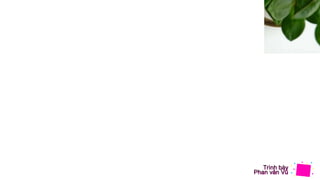 Trình bày
Phan văn Vũ
 