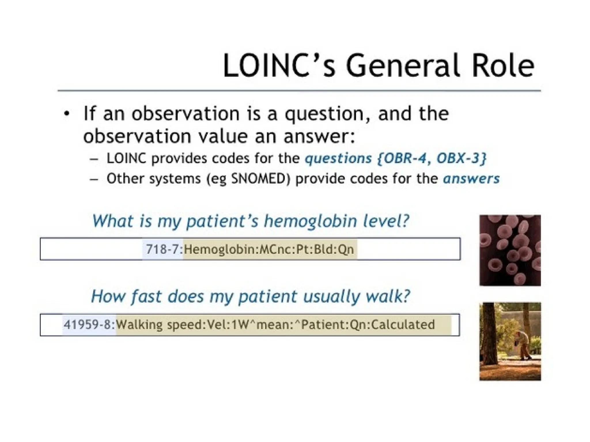 Logic observation identifiers names codes ppt