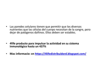 • Las paredes celulares tienen que permitir que los diversos
nutrientes que las células del cuerpo necesitan de la sangre, pero
dejar de patógenos dañinos. Ellos deben ser estables.
• 4fife producto para impulsar la actividad en su sistema
inmunológico hasta un 437%
• Mas informacio: en https://4lifedistribuidord.blogspot.com/
 