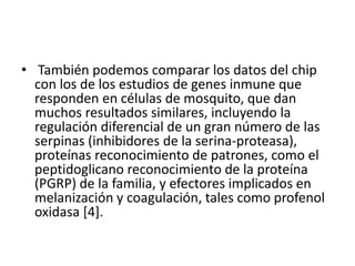 • También podemos comparar los datos del chip
con los de los estudios de genes inmune que
responden en células de mosquito, que dan
muchos resultados similares, incluyendo la
regulación diferencial de un gran número de las
serpinas (inhibidores de la serina-proteasa),
proteínas reconocimiento de patrones, como el
peptidoglicano reconocimiento de la proteína
(PGRP) de la familia, y efectores implicados en
melanización y coagulación, tales como profenol
oxidasa [4].
 