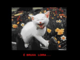 É  BRUXA  LOIRA . . . 