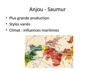 Anjou - Saumur
• Plus grande production
• Styles variés
• Climat : influences maritimes
 