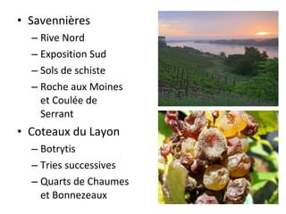 • Savennières
– Rive Nord
– Exposition Sud
– Sols de schiste
– Roche aux Moines
et Coulée de
Serrant
• Coteaux du Layon
– Botrytis
– Tries successives
– Quarts de Chaumes
et Bonnezeaux
 